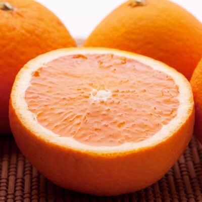 <2月より発送>家庭用きよみオレンジ6.5kg+195g(傷み補償分)【光センサー】【樹上完熟清見】