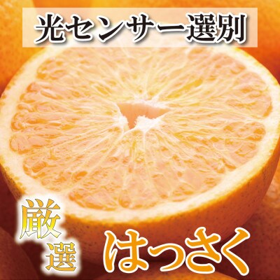 <1月より発送>厳選はっさく5kg+150g(傷み補償分)【八朔みかん】【光センサー選別】