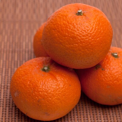 ＜2月より発送＞厳選 津之輝0.8kg+24g(傷み補償分)つのかがやき【光センサー選別】