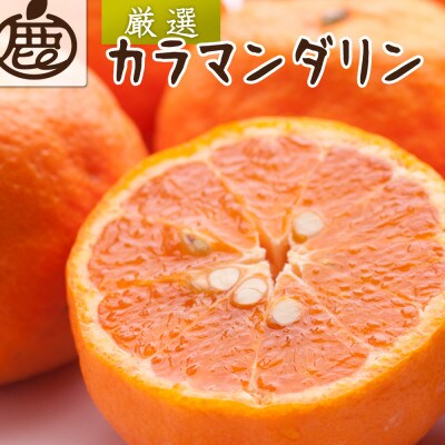 厳選 カラマンダリン10kg+250g(傷み補償分)【南津海・なつみ】【希少な春柑橘】
