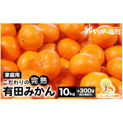 【25年10月より順次発送】有田みかん10kg+300g(傷み補償分)ご家庭用nuk004-c-10