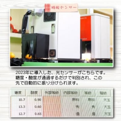 25年10月～順次発送　有田みかんプレミアム 10kg糖度12度以上2S～M　nuk004-p-10