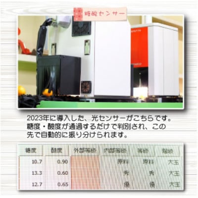 【25年10月～順次発送】【訳あり】有田みかん約5kg サイズ混合nuk004-noka-c5A