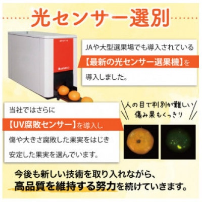 【2026年3月より順次発送】果汁たっぷり!清見オレンジ 約10kg nuk011-r-10