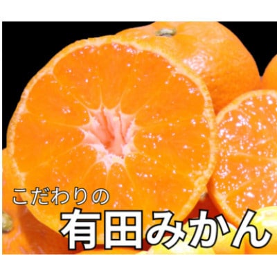 【25年10月より順次発送】有田みかん 大玉3L以上 約10kg nuk004-l-10A