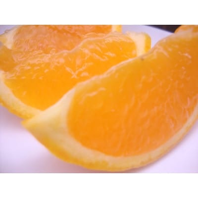 清見オレンジ みずみずしい果汁 約4kg (SS～2L混合サイズ) (nuk011-r-4)