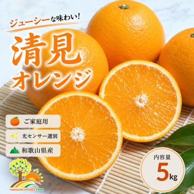 清見オレンジ みずみずしい果汁 約5kg (SS～2L混合サイズ) (nuk011-r-5)