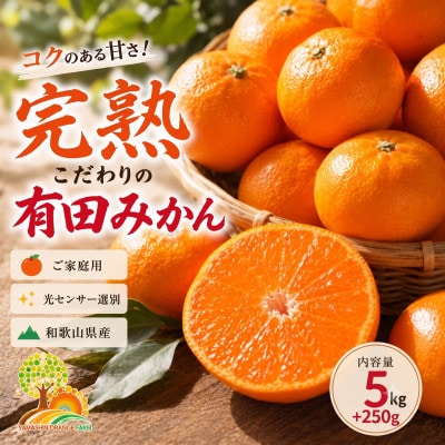 こだわりの完熟有田みかん 約5kg+250g(傷み補償分) ご家庭用 (nuk004-c-5)
