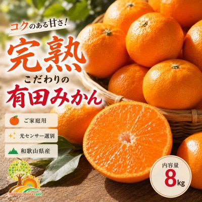 こだわりの完熟有田みかん 約8kg+250g(傷み補償分) ご家庭用 (nuk004-c-8)