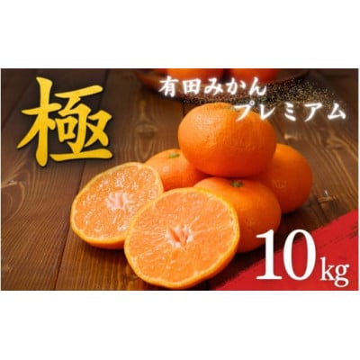 有田みかんプレミアム 極 約10kg 糖度12度以上 2S～L (nuk004-p-10)