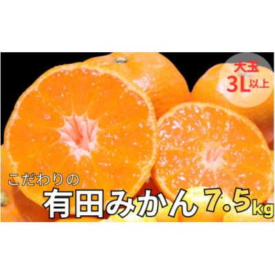 こだわりの有田みかん 秀品 大玉3L以上 約7.5kg (nuk004-l-7d5)