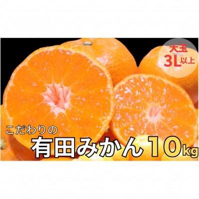 こだわりの有田みかん 秀品 大玉3L以上 約10kg (nuk004-l-10A)