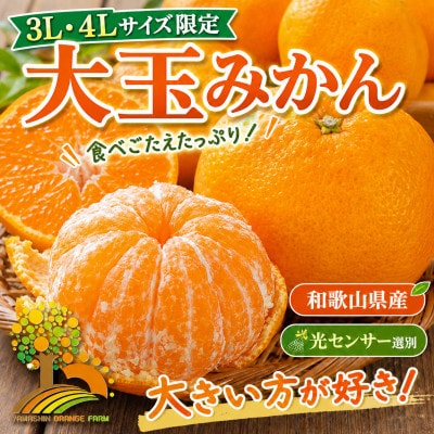 こだわりの有田みかん 秀品 大玉3L以上 約10kg (nuk004-l-10A)