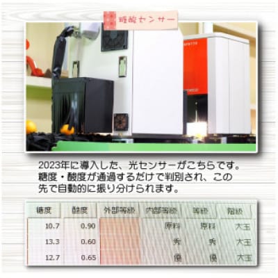 【訳あり】こだわりの有田みかん 約7.5kg サイズ混合 (nuk004-noka-c7d5)