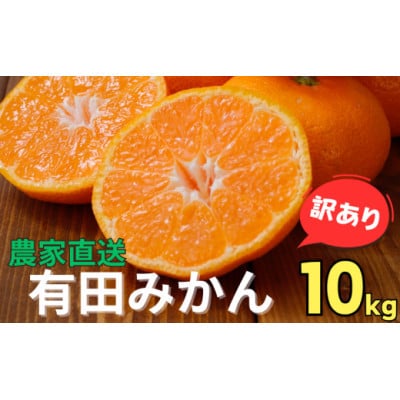 【訳あり】こだわりの有田みかん 約10kg サイズ混合 (nuk004-noka-c10A)