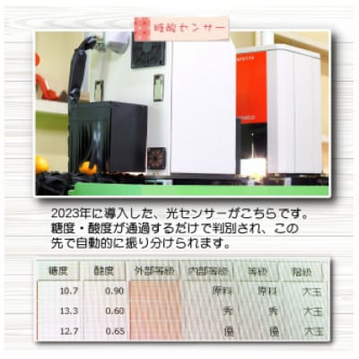 【訳あり】こだわりの有田みかん 約10kg サイズ混合 (nuk004-noka-c10A)