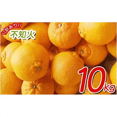 【少し訳あり】こだわりの不知火 約10kg サイズ混合 (nuk010-c-10A)