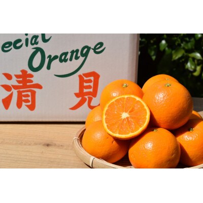 【まごころ手選別】和歌山産　有田の清見(きよみ)約5kg(2S～3Lサイズ混合)【家庭用】