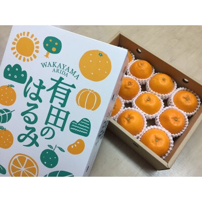 【まごころ手選別】和歌山産有田のはるみ　化粧箱入り　Lサイズ　12個入り