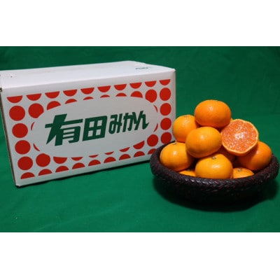 【まごころ手選別】和歌山産 有田みかん 5kg (2S～Lサイズ混合)