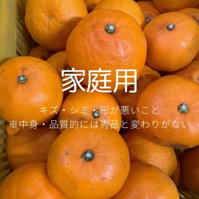 【2027年2月より順次発送】　和歌山県産　せとか　約3kg　家庭用　【まごころ手選別】