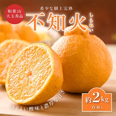先行受付!　数量限定　不知火　樹上完熟　約2kg　大玉6個入　こだわり農家厳選!