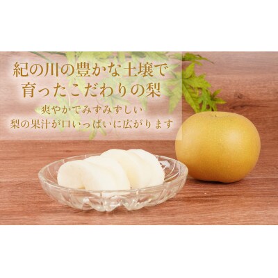 先行予約!　旬の梨　極上秀品(中玉～大玉)6～8個入り　2025年8月中旬頃から発送