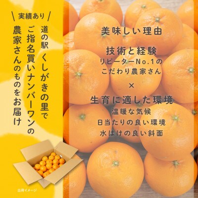 【2026年発送】和歌山県産温州ミカン約5kg(40個～60個入)秀品　味に自信あり!農家厳選