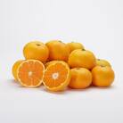 【2025年11月より順次発送】森本農園の小粒濃厚みかん　訳あり　8kg