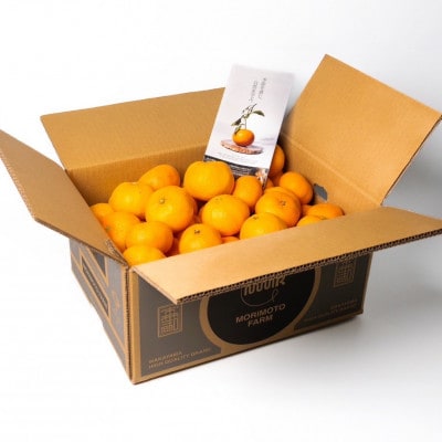 【発送月固定定期便】家庭用みかん定期便　1.5kg　10月～1月まで期間限定全4回