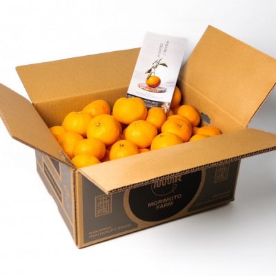 【発送月固定定期便】訳ありみかん定期便　2kg　10月～1月まで期間限定全4回