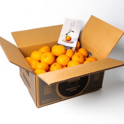 【発送月固定定期便】訳ありみかん定期便　10kg　10月～1月まで期間限定全4回