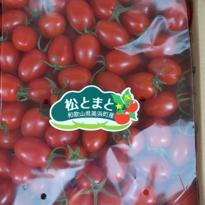美浜町産　松トマト(アイコ)