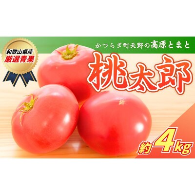 太陽の恵みたっぷりの天野とまと【桃太郎トマト約4kg】