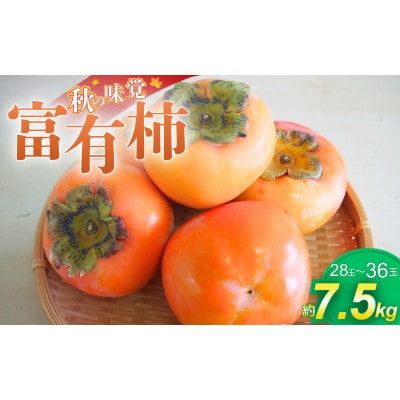 柿 かつらぎの陽だまりが育てた富有柿 約7.5kg【2026年11月中旬～12月上旬頃発送予定】