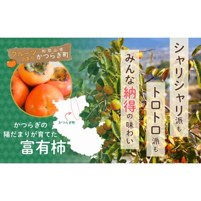 柿 かつらぎの陽だまりが育てた富有柿 約7.5kg【2026年11月中旬～12月上旬頃発送予定】