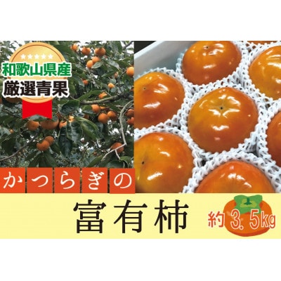 柿 富有柿【秀品】和歌山県産 約3.5kg【2026年11月中旬から2026年12月上旬発送】