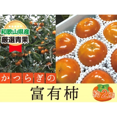 柿 富有柿【秀品】和歌山県産 約2kg【2026年11月中旬から12月上旬発送】