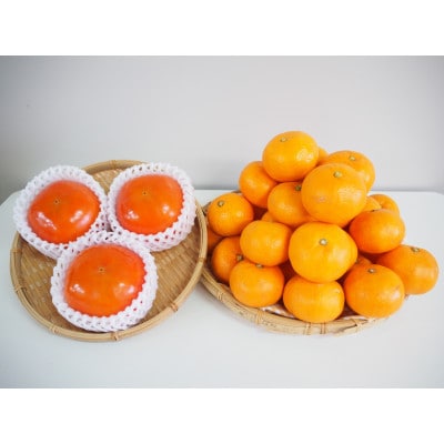 かつらぎセット(みかん&柿)約3.5kg【2026年11月中旬から2026年12月上旬発送】