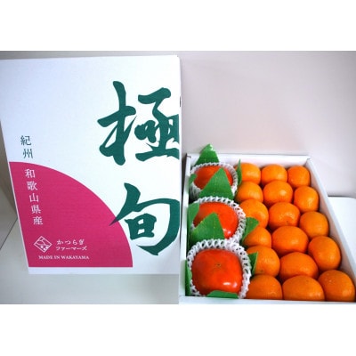 かつらぎセット(みかん&柿)約3.5kg【2026年11月中旬から2026年12月上旬発送】