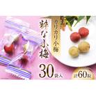 粋な小梅 2粒×30パック