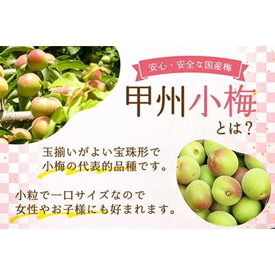 【カリカリ】甲州小梅 300g