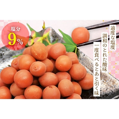 【カリカリ】甲州小梅 300g
