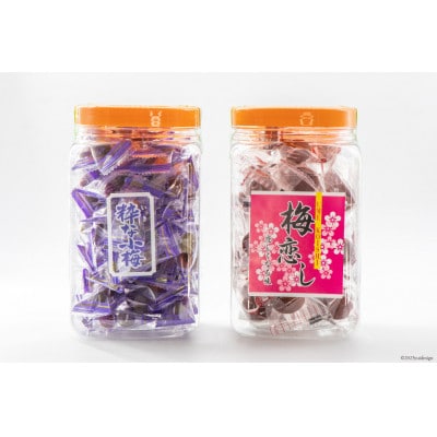 粋な小梅ポット 60個入 & 梅恋しポット 30個入
