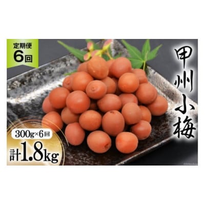 【毎月定期便】【カリカリ】甲州小梅 300g全6回