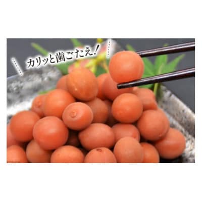 【毎月定期便】【カリカリ】甲州小梅 300g全6回