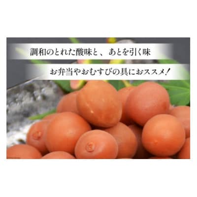 【毎月定期便】【カリカリ】甲州小梅 300g全6回