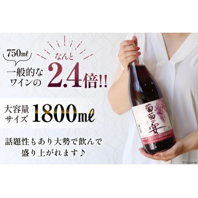 一升瓶 赤ワイン×3本 白ワイン×3本 飲み比べ6本セット (1800ml×6本)