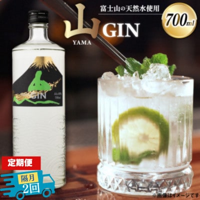 【2ヵ月毎定期便】山ジン　700ml×1本全2回