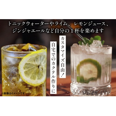 【毎月定期便】山ジン　700ml×1本全3回